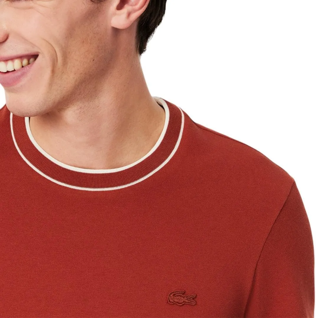 Lacoste Men's Piqu Stripe Collar T-Shirt